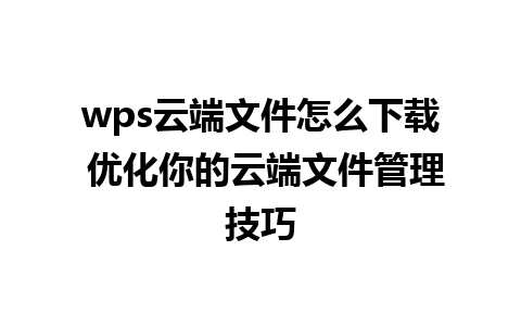 wps云端文件怎么下载 优化你的云端文件管理技巧