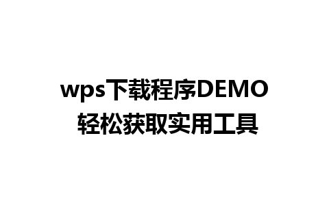 wps下载程序DEMO 轻松获取实用工具