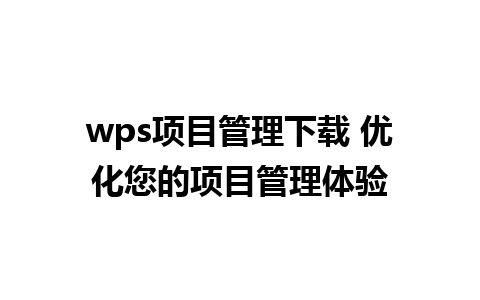 wps项目管理下载 优化您的项目管理体验