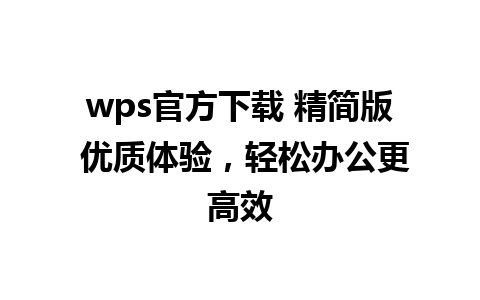 wps官方下载 精简版 优质体验，轻松办公更高效