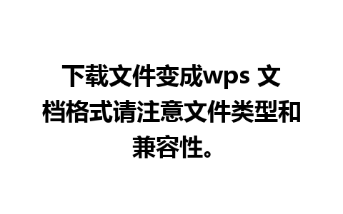 下载文件变成wps 文档格式请注意文件类型和兼容性。