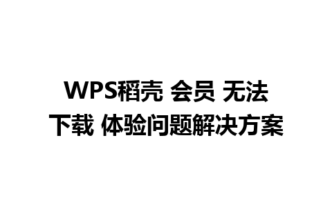 WPS稻壳 会员 无法下载 体验问题解决方案