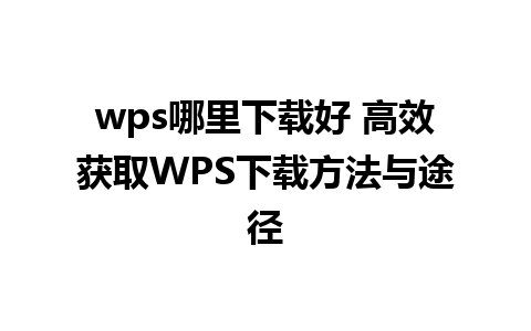 wps哪里下载好 高效获取WPS下载方法与途径