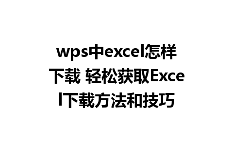 wps中excel怎样下载 轻松获取Excel下载方法和技巧