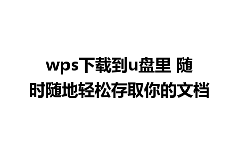 wps下载到u盘里 随时随地轻松存取你的文档