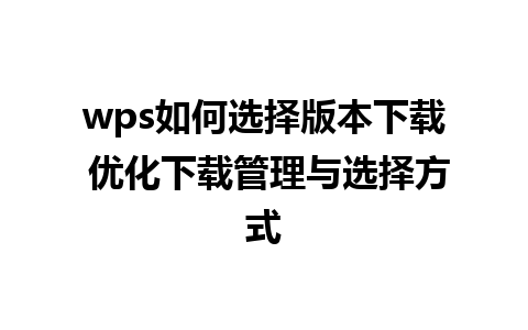 wps如何选择版本下载 优化下载管理与选择方式