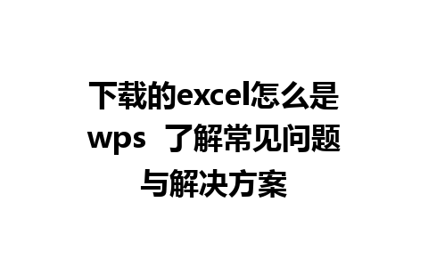 下载的excel怎么是wps  了解常见问题与解决方案