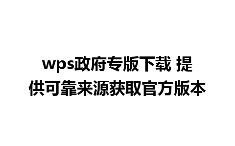 wps政府专版下载 提供可靠来源获取官方版本