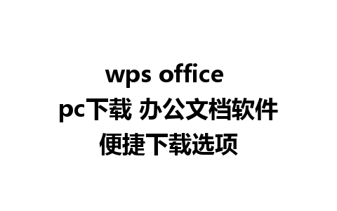 wps office pc下载 办公文档软件便捷下载选项