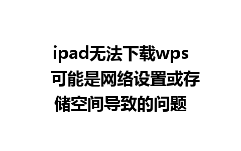 ipad无法下载wps  可能是网络设置或存储空间导致的问题