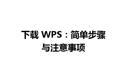 下载 WPS：简单步骤与注意事项