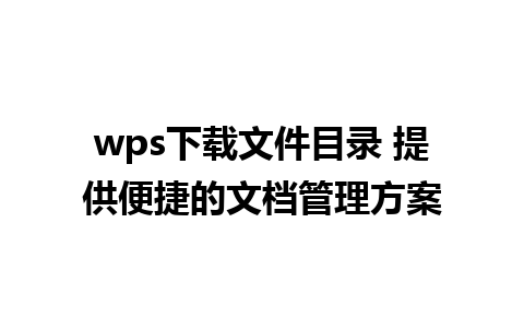 wps下载文件目录 提供便捷的文档管理方案