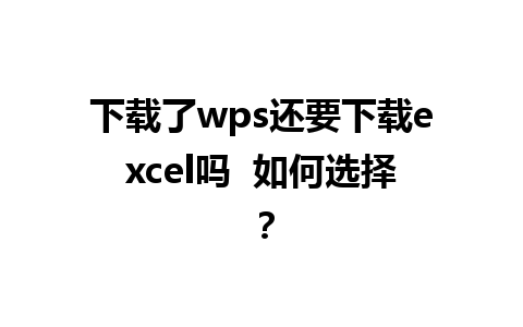 下载了wps还要下载excel吗  如何选择？