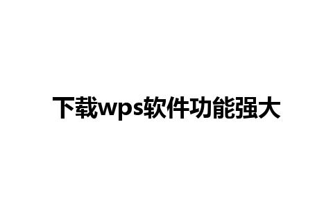 下载wps软件功能强大