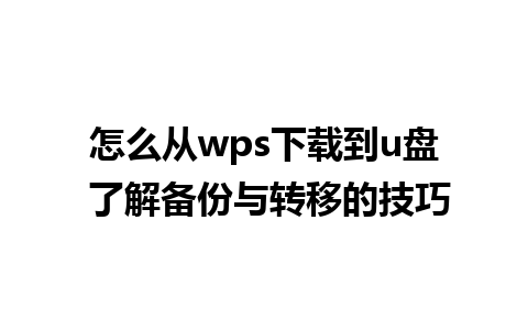 怎么从wps下载到u盘 了解备份与转移的技巧