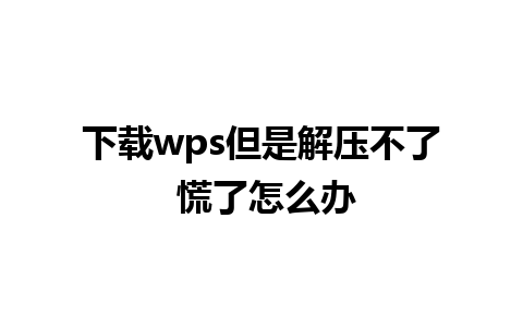 下载wps但是解压不了 慌了怎么办