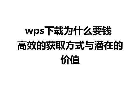 wps下载为什么要钱 高效的获取方式与潜在的价值