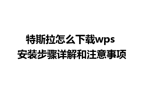 特斯拉怎么下载wps 安装步骤详解和注意事项