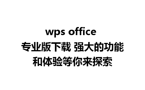 wps office 专业版下载 强大的功能和体验等你来探索