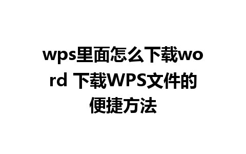 wps里面怎么下载word 下载WPS文件的便捷方法