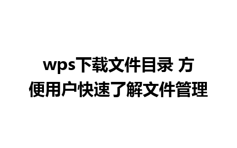 wps下载文件目录 方便用户快速了解文件管理