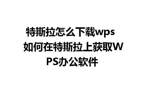 特斯拉怎么下载wps  如何在特斯拉上获取WPS办公软件