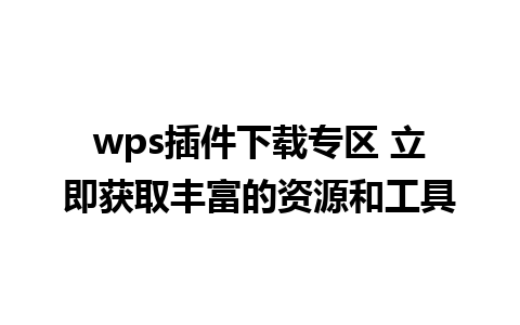 wps插件下载专区 立即获取丰富的资源和工具