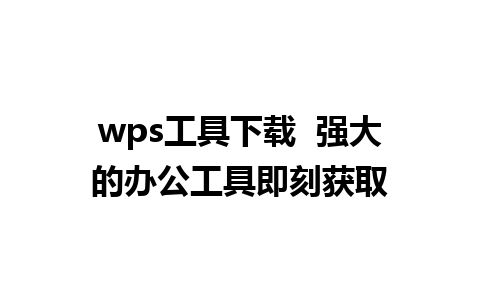 wps工具下载  强大的办公工具即刻获取