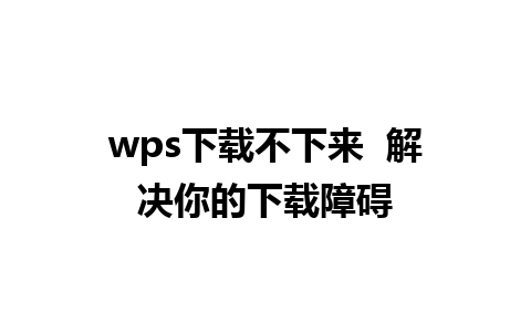 wps下载不下来  解决你的下载障碍