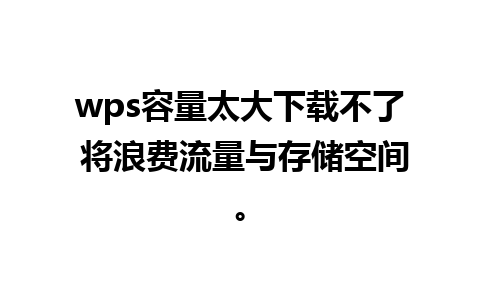 wps容量太大下载不了 将浪费流量与存储空间。