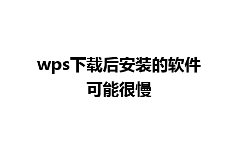 wps下载后安装的软件可能很慢