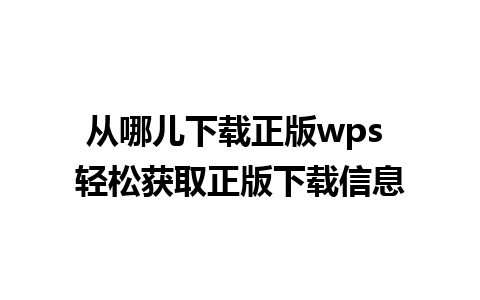 从哪儿下载正版wps 轻松获取正版下载信息