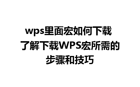 wps里面宏如何下载 了解下载WPS宏所需的步骤和技巧