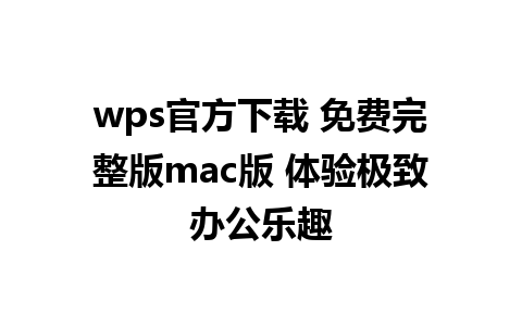 wps官方下载 免费完整版mac版 体验极致办公乐趣