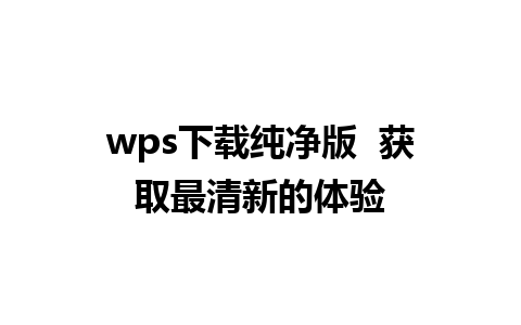 wps下载纯净版  获取最清新的体验