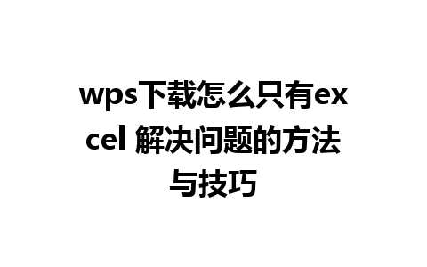 wps下载怎么只有excel 解决问题的方法与技巧