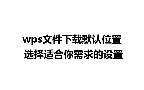 wps文件下载默认位置 选择适合你需求的设置