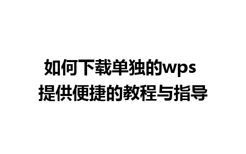 如何下载单独的wps 提供便捷的教程与指导