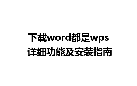 下载word都是wps 详细功能及安装指南