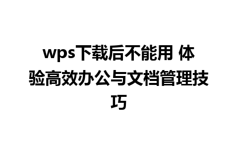 wps下载后不能用 体验高效办公与文档管理技巧