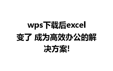 wps下载后excel变了 成为高效办公的解决方案!