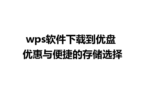 wps软件下载到优盘 优惠与便捷的存储选择