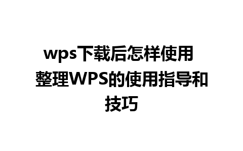 wps下载后怎样使用 整理WPS的使用指导和技巧