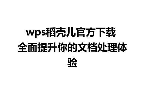 wps稻壳儿官方下载 全面提升你的文档处理体验