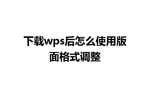 下载wps后怎么使用版面格式调整