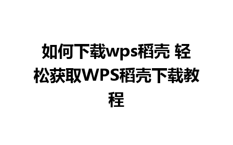 如何下载wps稻壳 轻松获取WPS稻壳下载教程