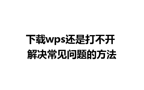 下载wps还是打不开 解决常见问题的方法