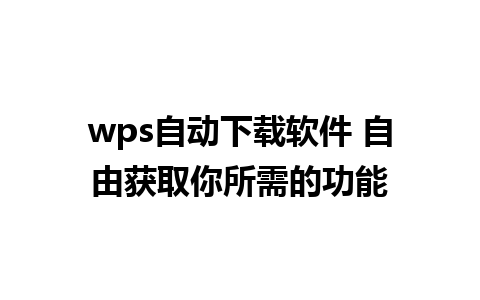 wps自动下载软件 自由获取你所需的功能