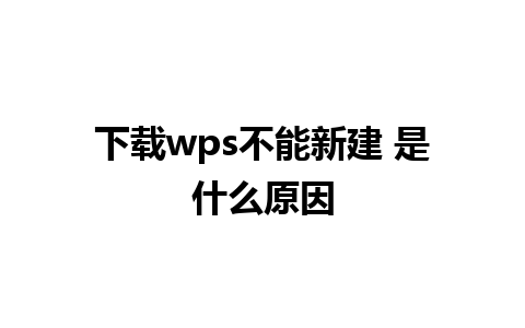 下载wps不能新建 是什么原因