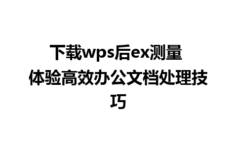 下载wps后ex测量 体验高效办公文档处理技巧